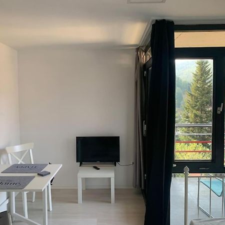 Gemuetliches Einzimmer-Apartment 33 Bad Wildbad Bagian luar foto