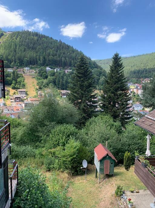 Gemuetliches Einzimmer-Apartment 33 Bad Wildbad Bagian luar foto
