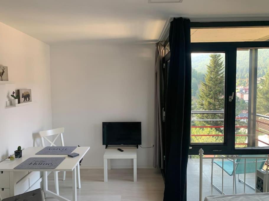 Gemuetliches Einzimmer-Apartment 33 Bad Wildbad Bagian luar foto
